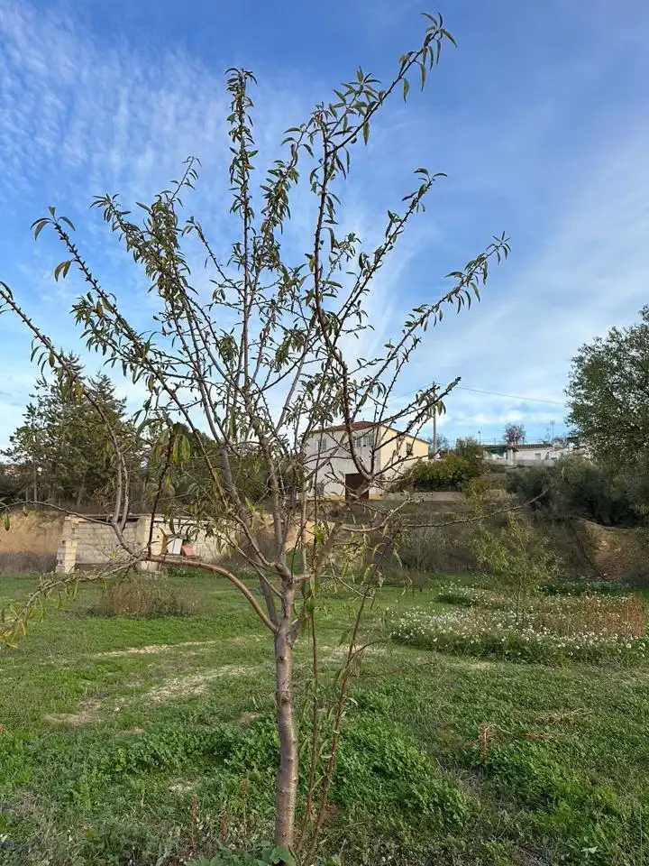Casa o xalet en venda en Cuevas del Campo amb Aire condicionat, Jardí privat i Traster
