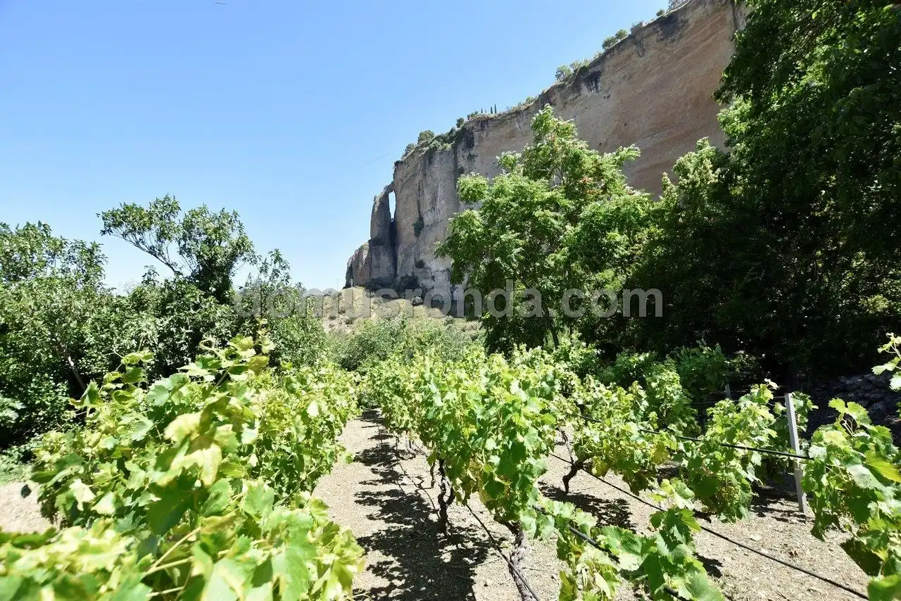Houses for sale in Ronda  with Air Conditioner, Heating and Terrace