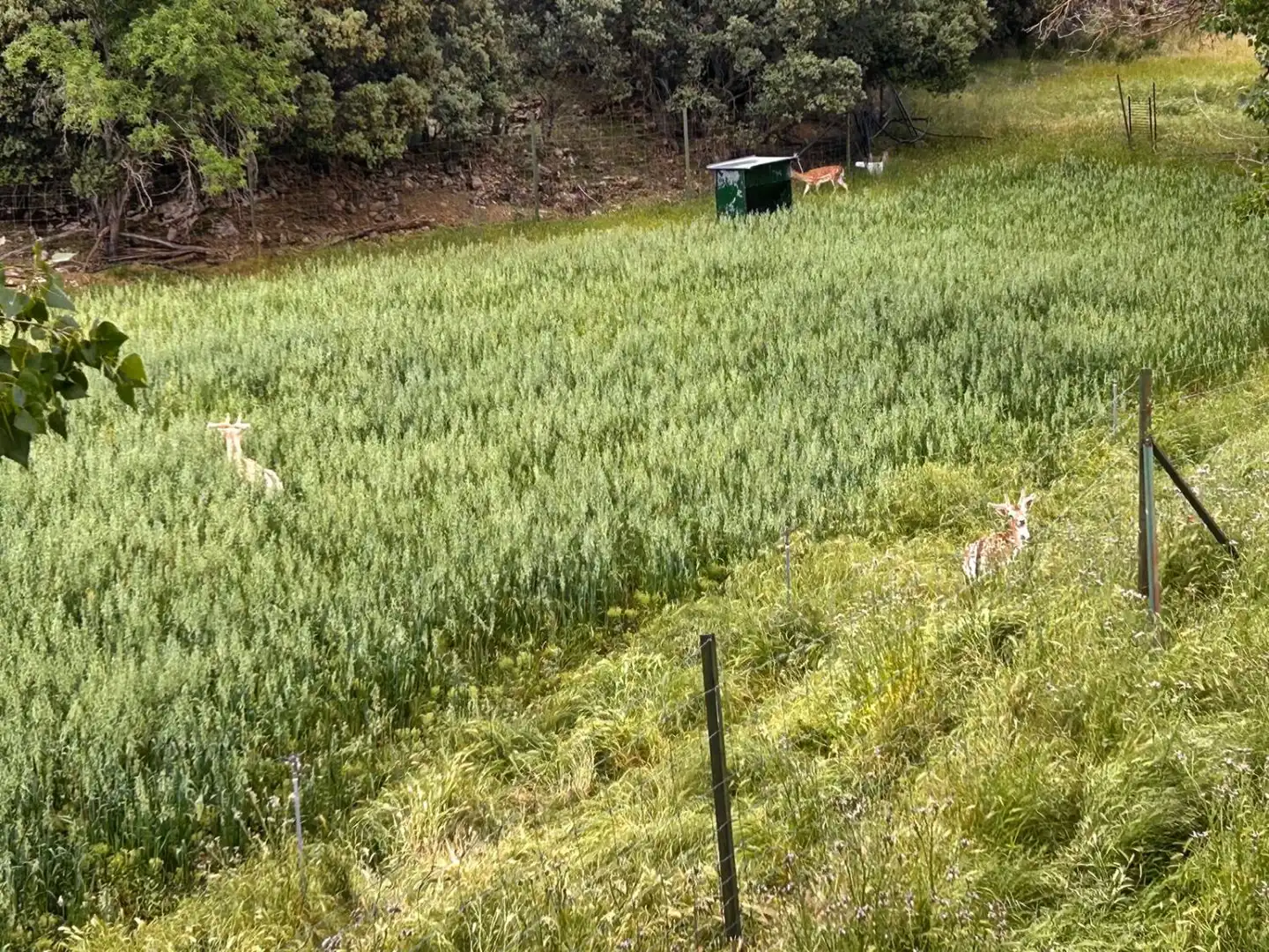 Vista exterior de Finca rústica en venta en Masegoso con Aire acondicionado y Calefacción