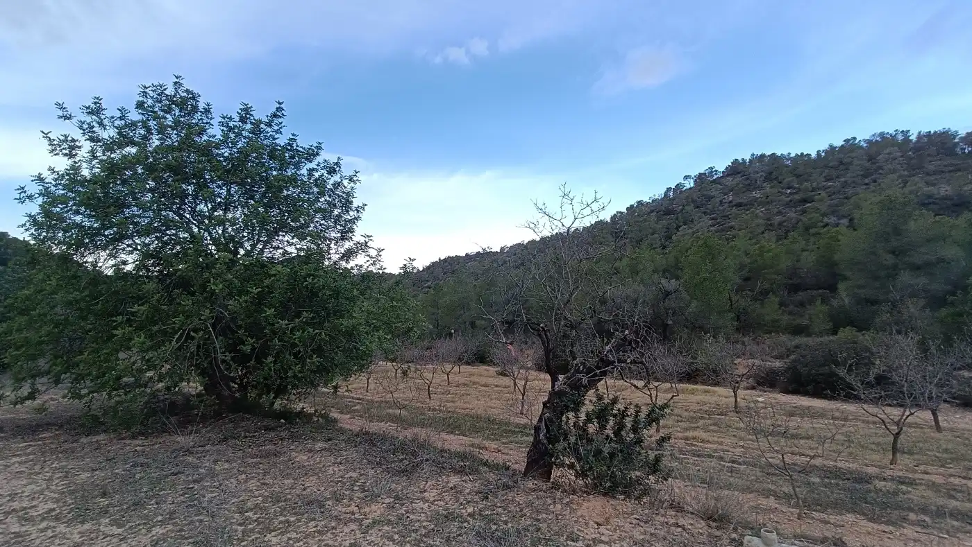 Terreny rústic en venda a Miravet, imagen 17