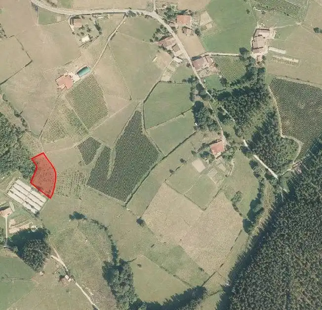 Terreno rustico in vendita a Abadiño, imagen 4