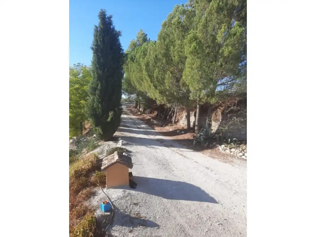 Finca rústica en venta en N/A, Fornes