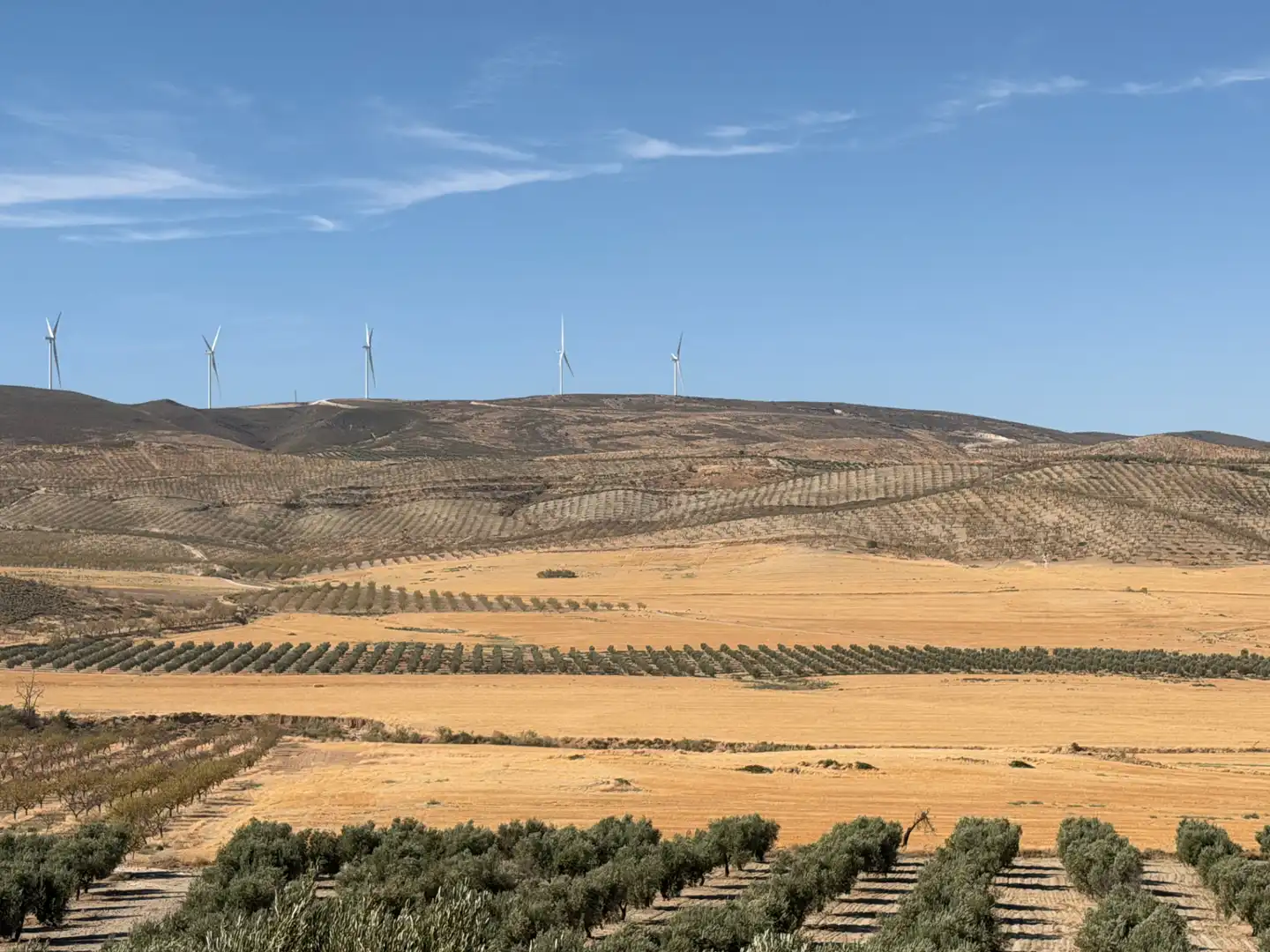 Terreno rustico in vendita a Camino de Alhendín, imagen 5