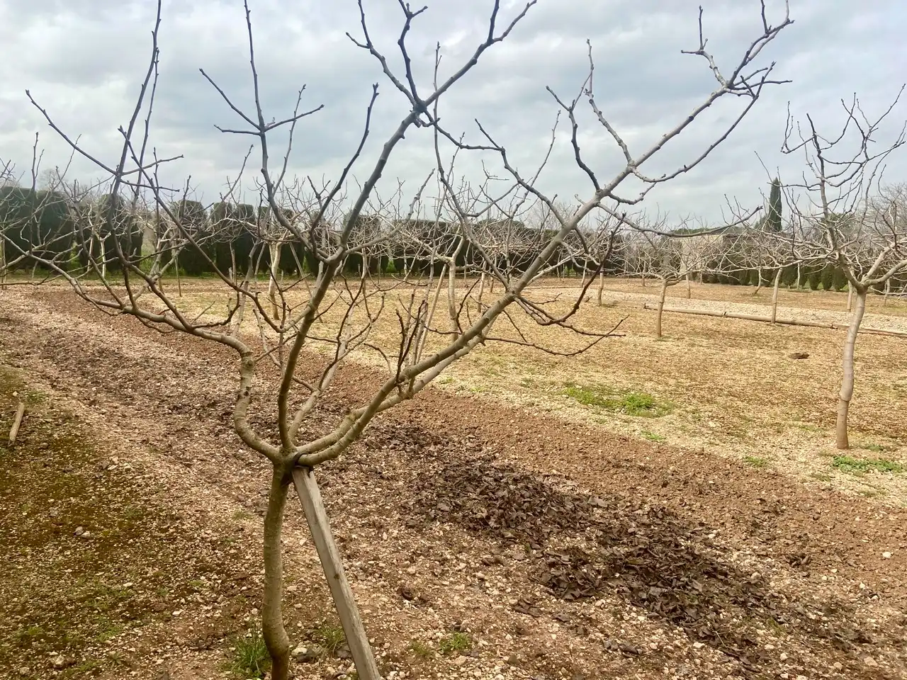 Casa o xalet en venda en Ciudad Real amb Calefacció, Jardí privat i Traster
