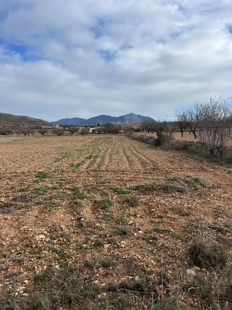 Residencial en venta en Hondón de los Frailes