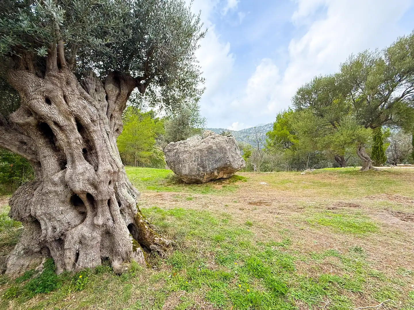 Maison rustique avec jardin à vendre à Bunyola, imagen 43