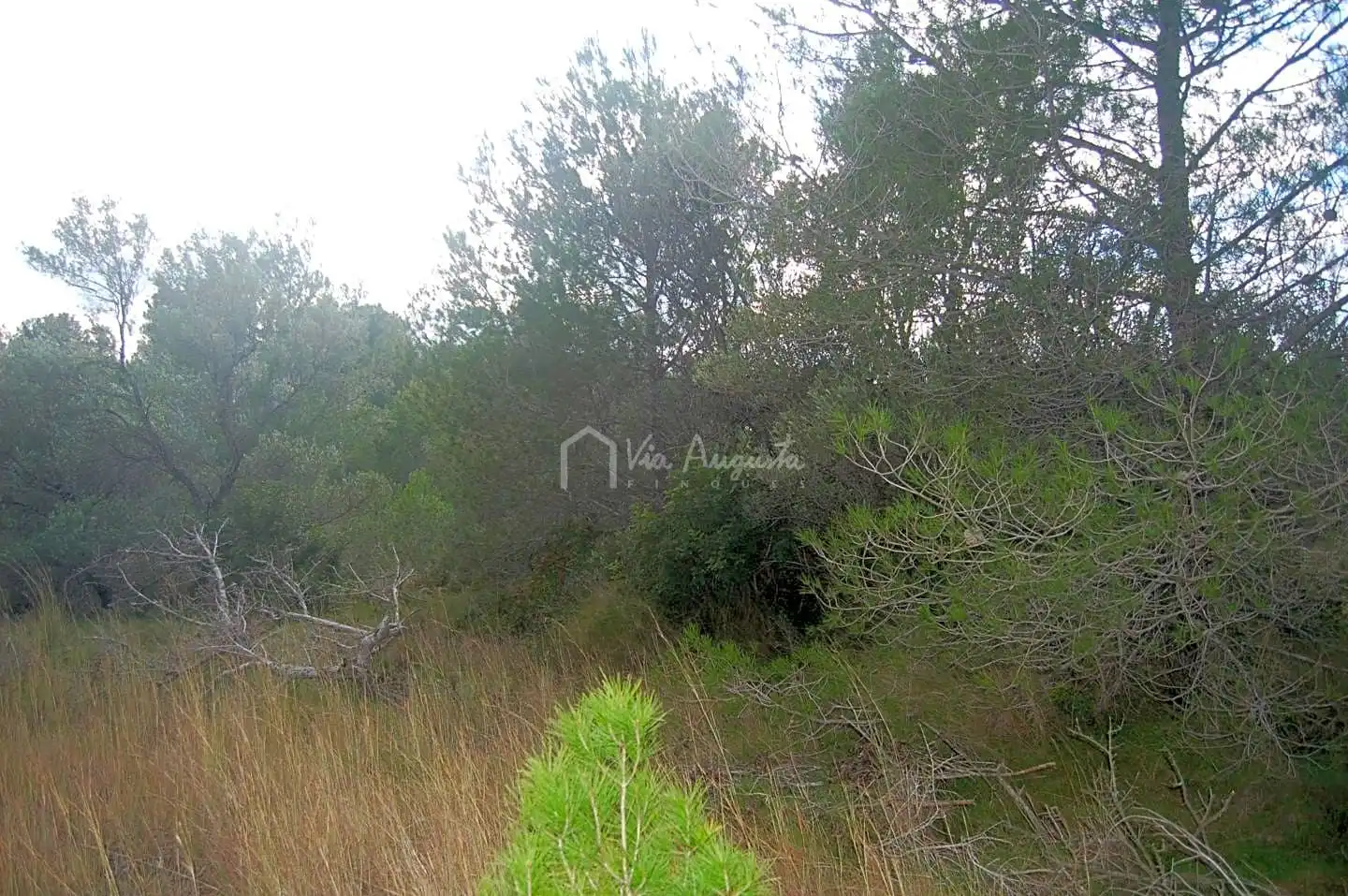 Terreno rústico en venta en Les Vinyasses, imagen 7