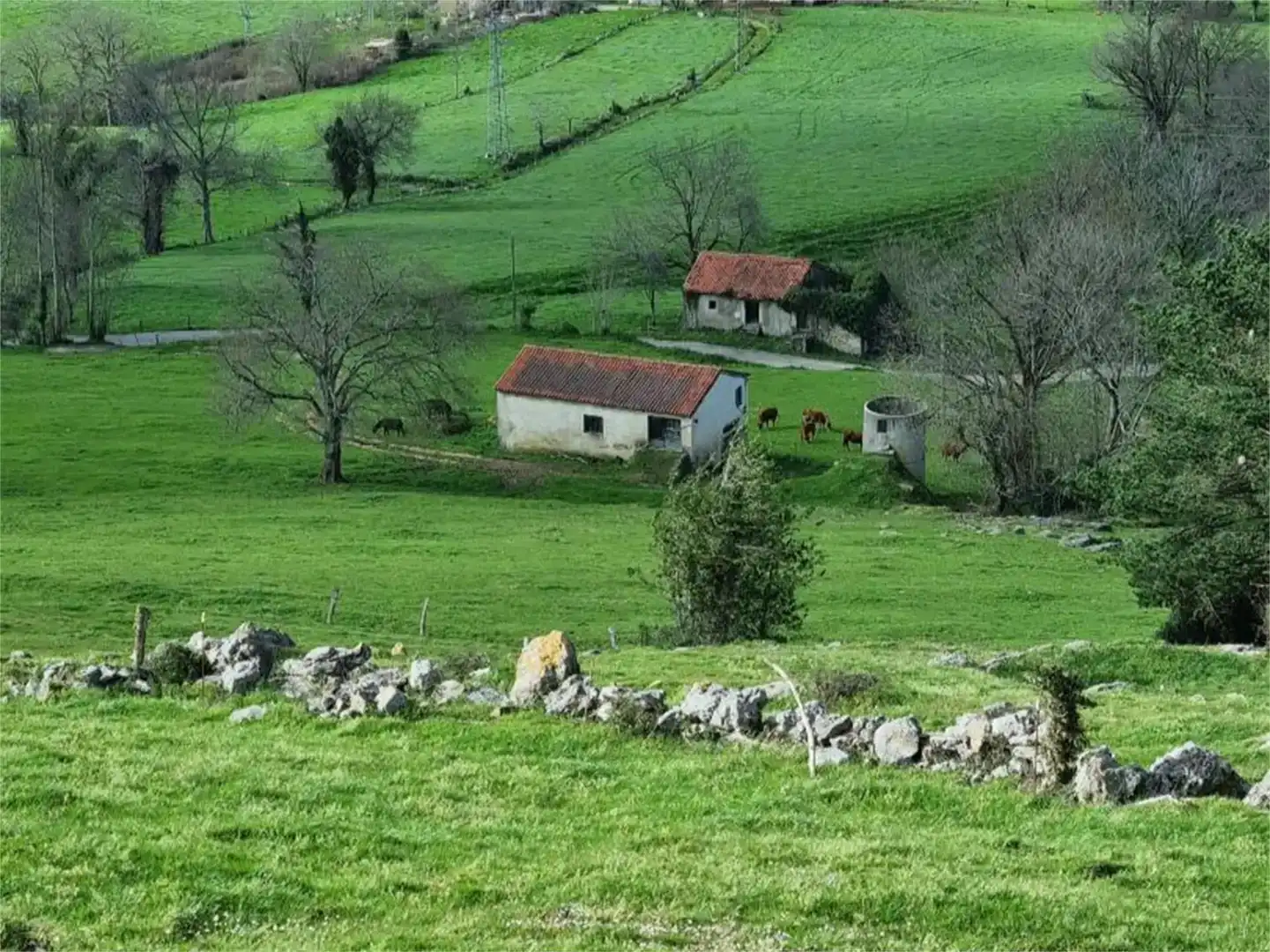 Vista exterior de Finca rústica en venda en Ruesga