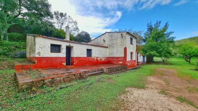 Terreno en Venta en Castaño del Robledo