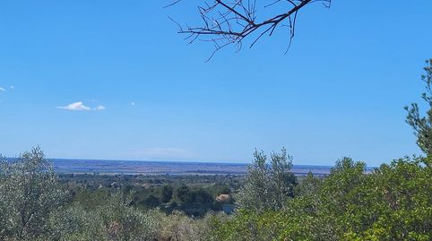 Finca Rúst. en venta en Ampolla L, 2 dormitorios., immagine 5