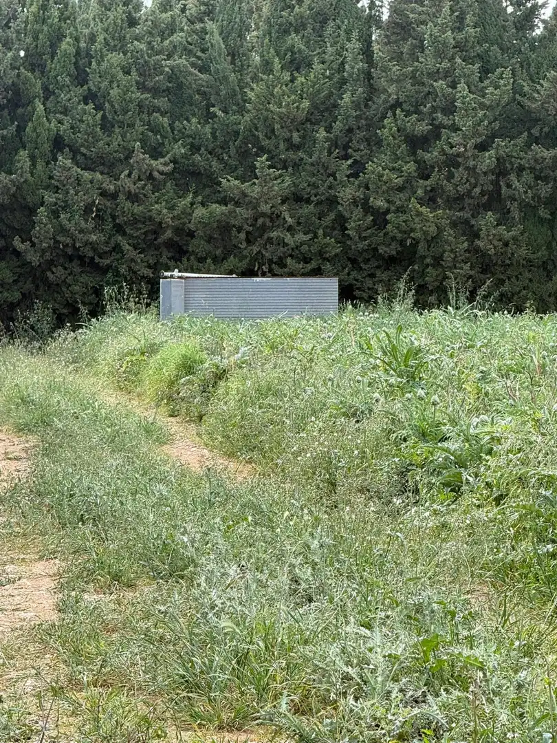 Maison rustique à vendre à Camarles, imagen 9