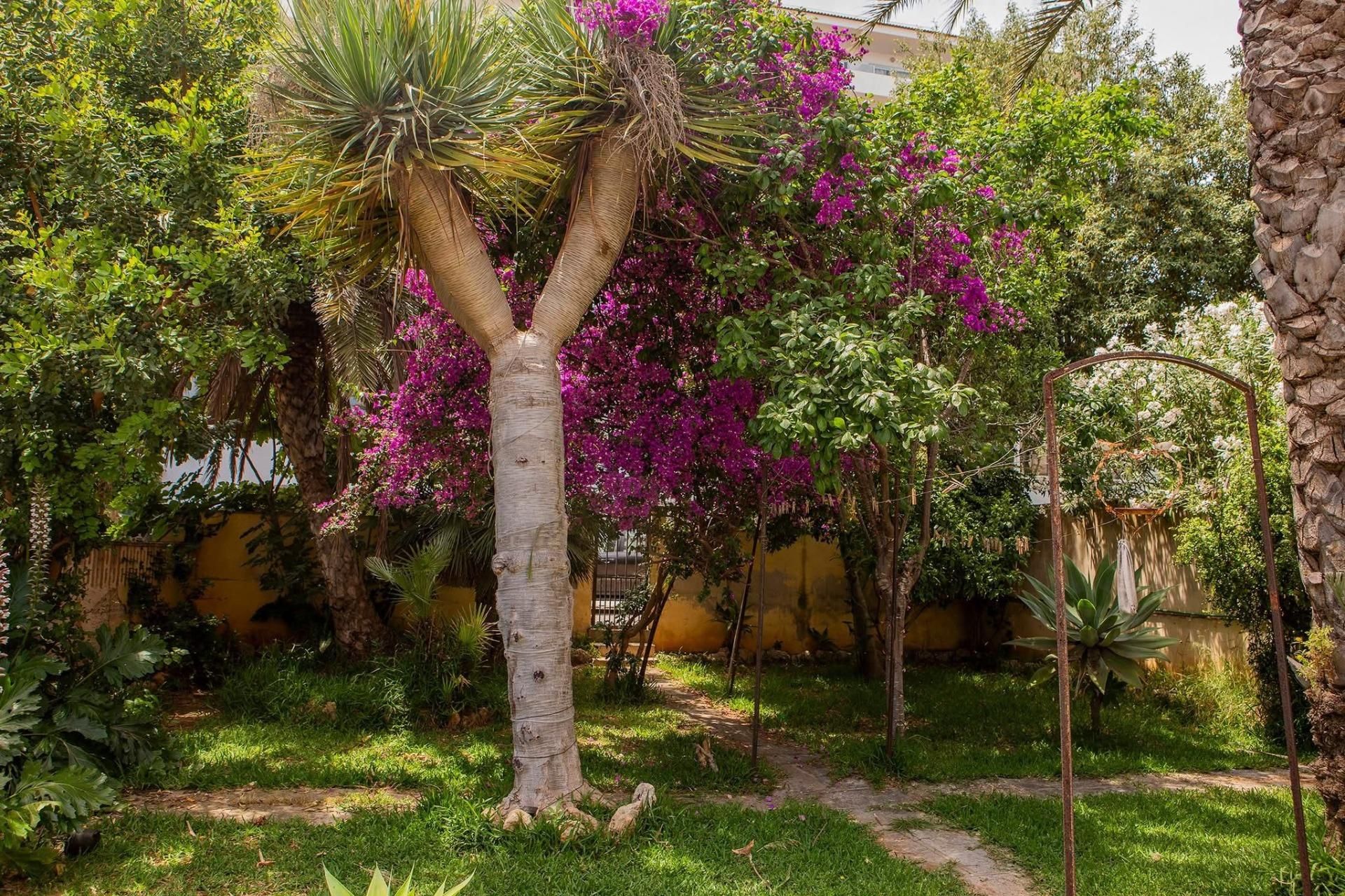 Jardí de Casa o xalet en venda en Santa Margalida