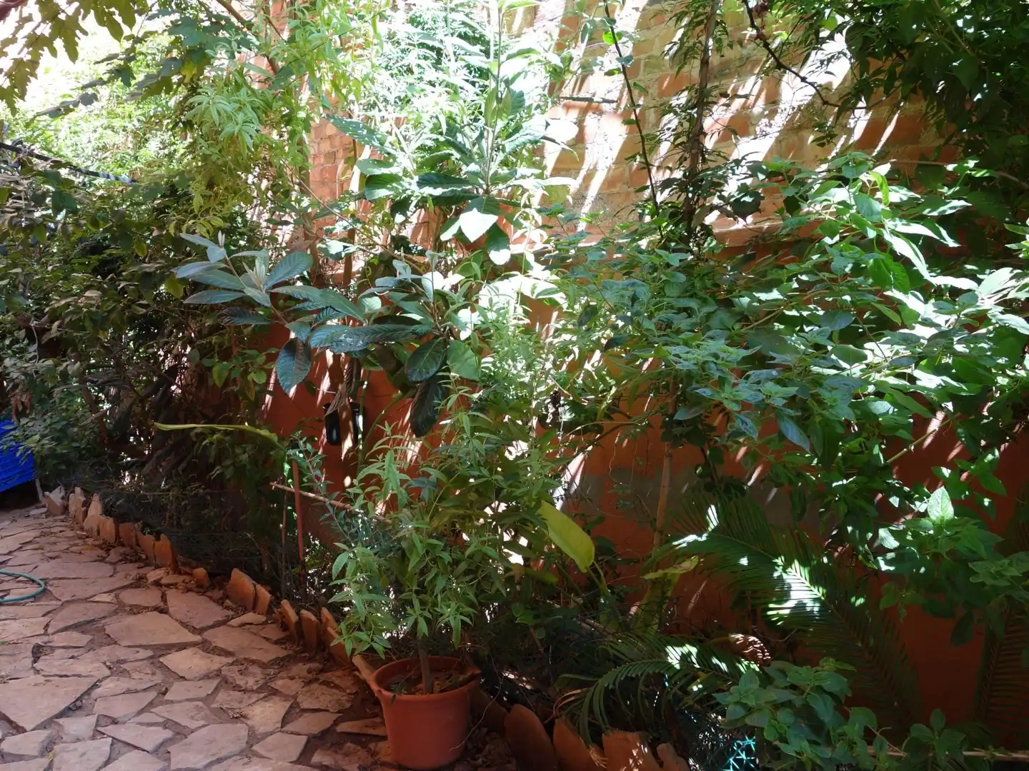 Maison mitoyenne avec terrasse à vendre à Les Boqueres - Santa Quiteria, imagen 56