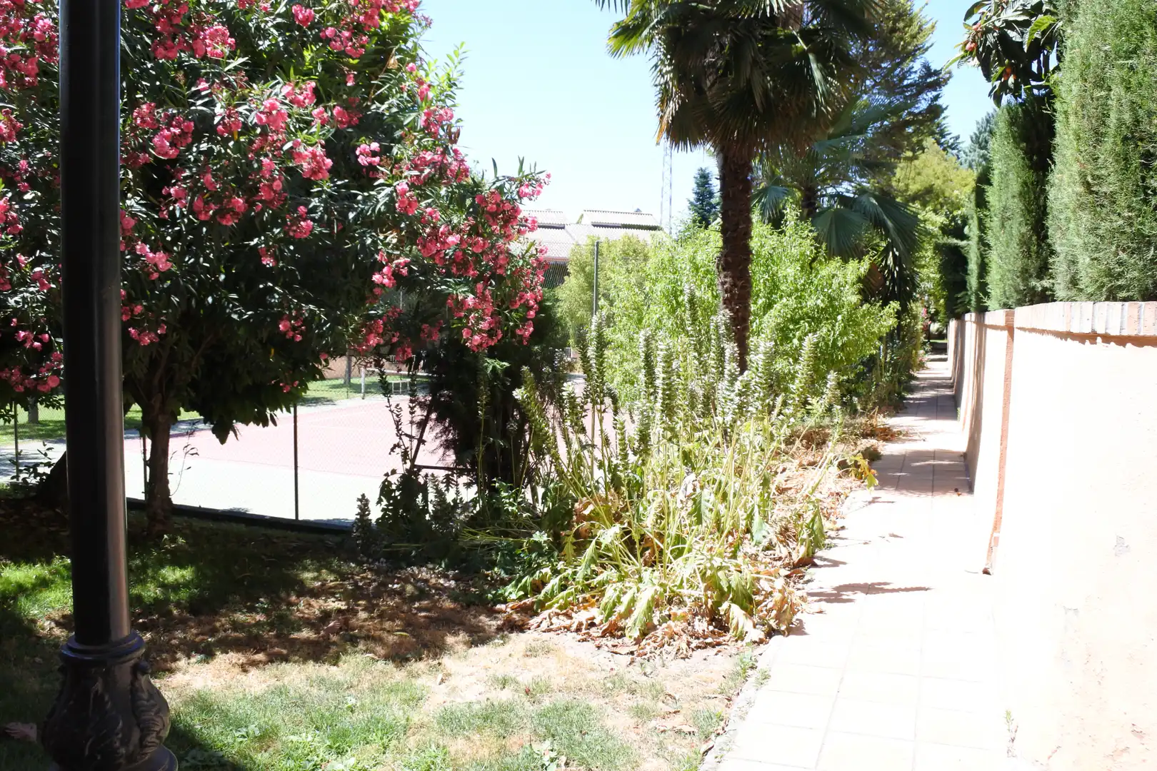 Jardín de Piso para compartir en Granada con Aire acondicionado, Calefacción y Jardín privado