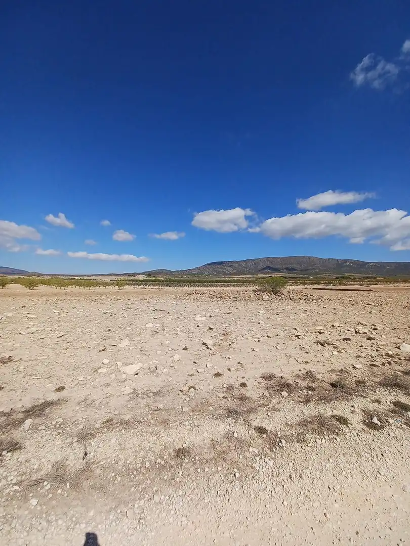 Terreny residencial en venda a El Pinós / Pinoso, imagen 4