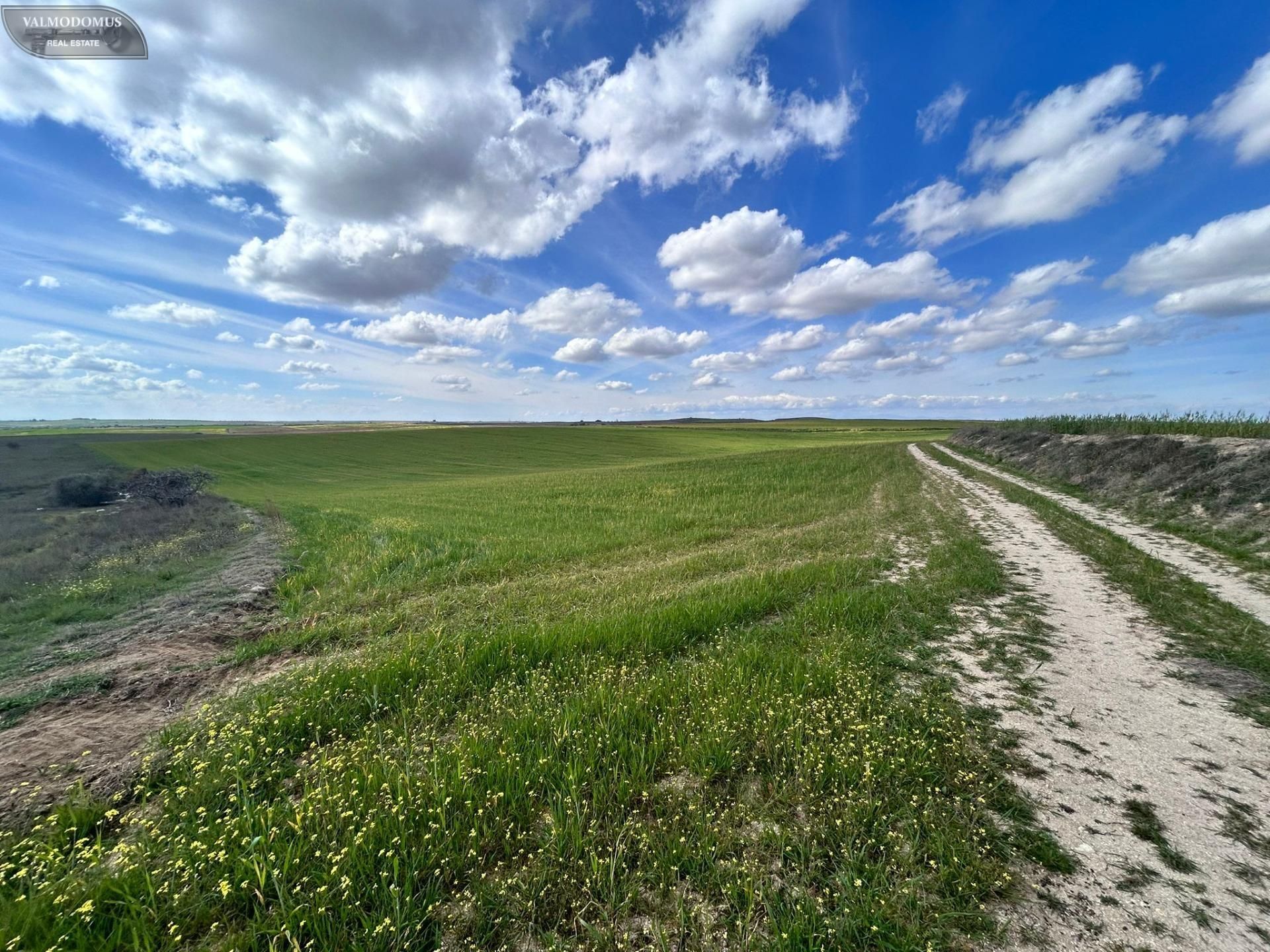 Land for sale in El Viso de San Juan