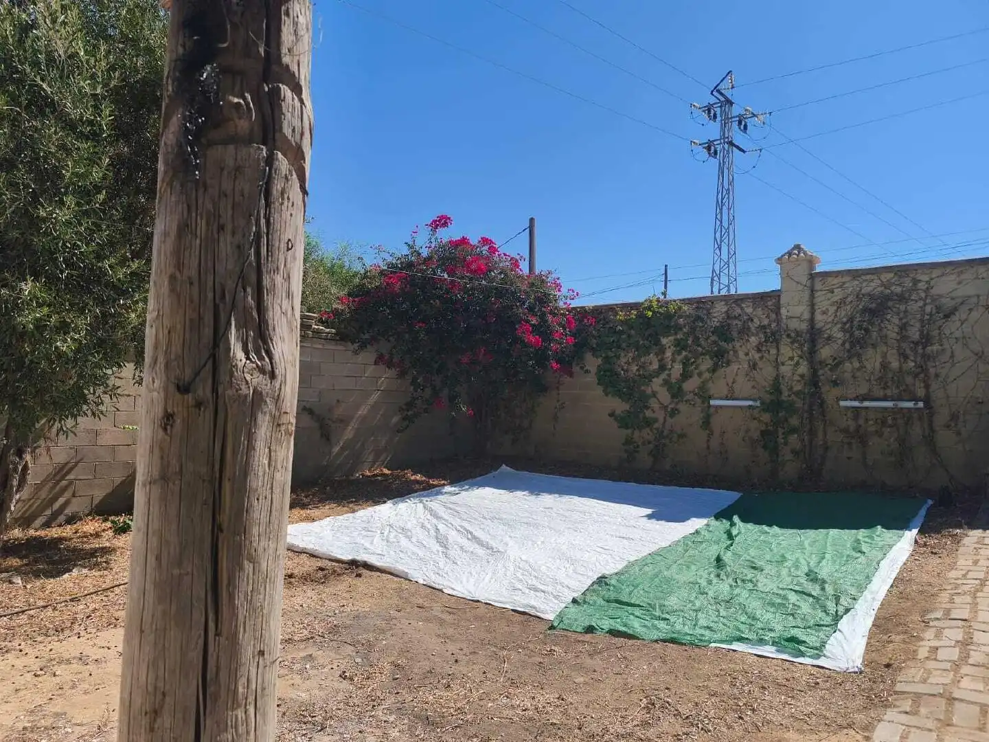 Houses for sale in Chipiona Norte