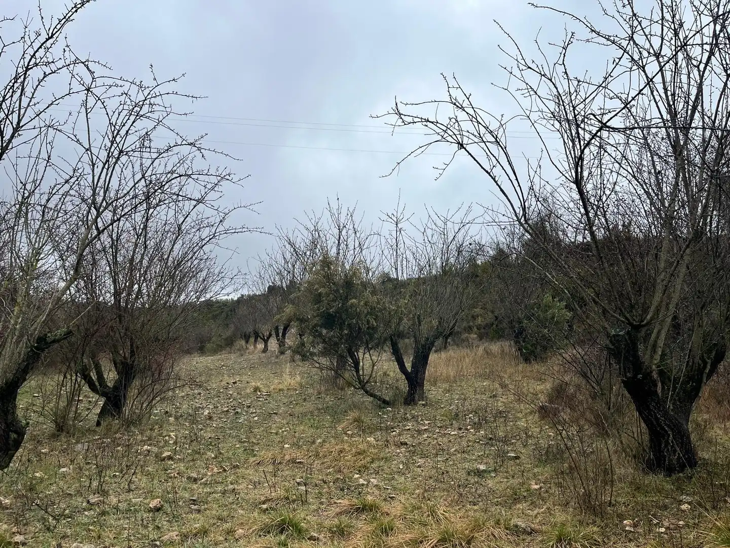 Terreni e lotti in vendita a Hoz y Costean, imagen 7