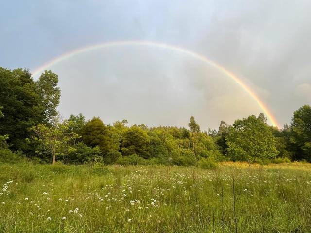 Terreno en Venta en Lugar PONTE NOVA-PARADELA en Meis