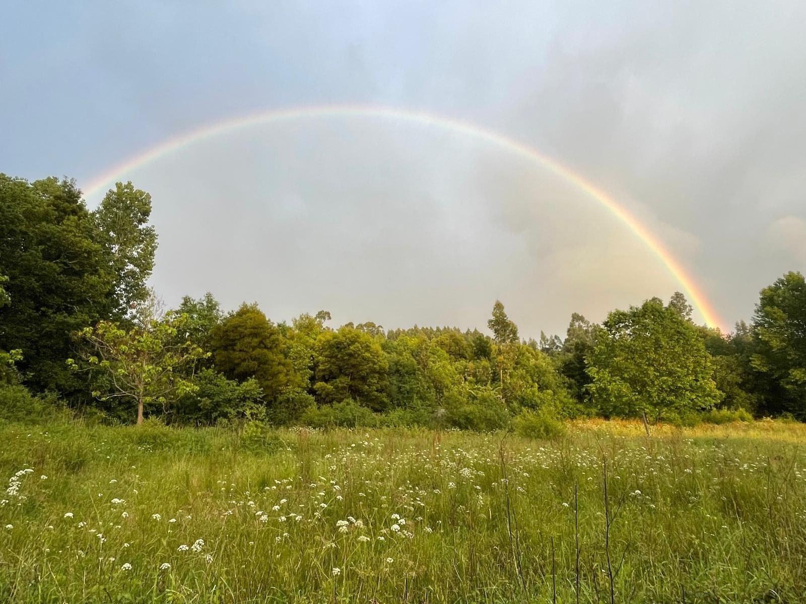 Land for sale in Meis