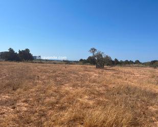 Land for sale in Diseminado de Sa Caleta, Sant Jordi de Ses Salines - Sant Francesc