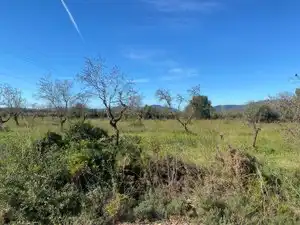 Terreno en venta en El Pont d'Armentera