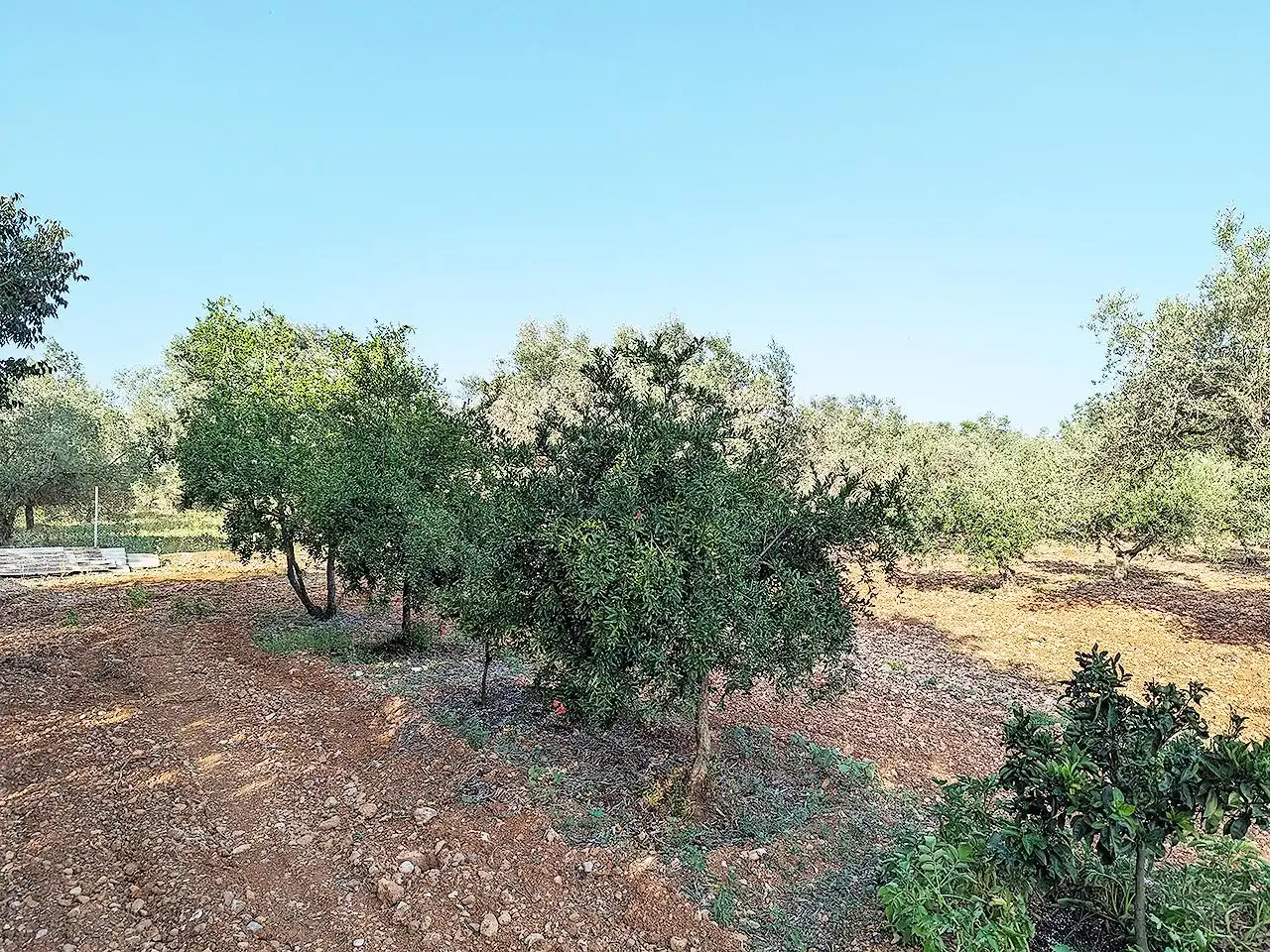 Country house with pool for sale in Mas de la Rata, imagen 14