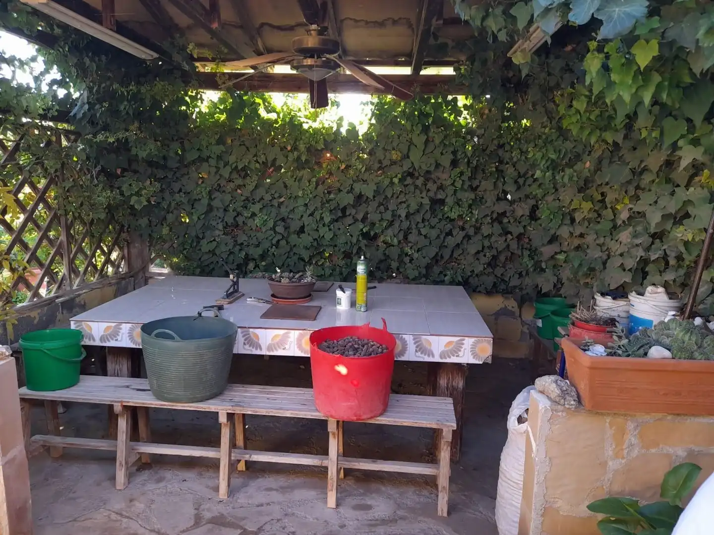 Terrassa de Casa o xalet en venda en Flix amb Jardí privat, Terrassa i Traster