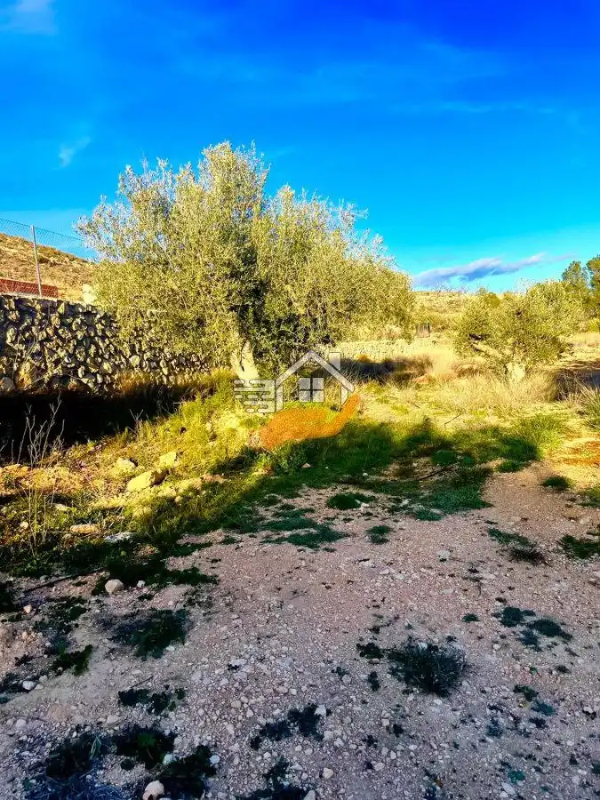 Residential land for sale in Vélez-Rubio, imagen 12