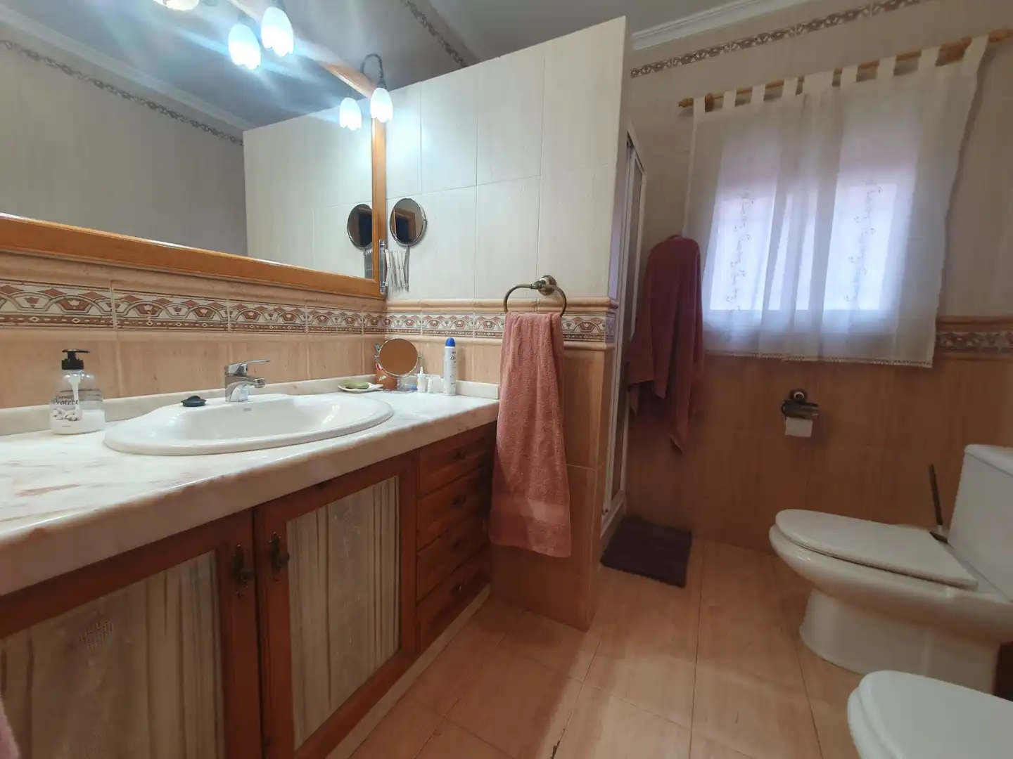 Villa con terrazza in vendita a Guadix, imagen 37