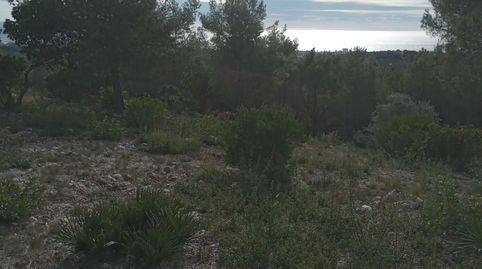 Foto 5 de Residencial en venda a Carrer Crisantem, 49, Costa Cunit - Els Jardins - Els Rosers, Cunit