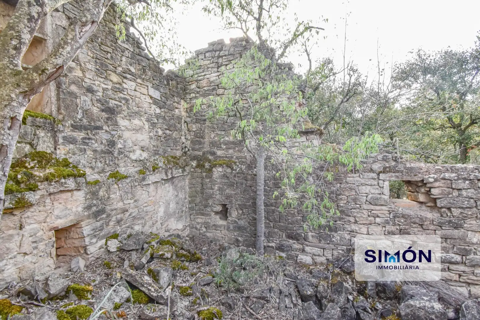 Finca rústica en venta en Veciana