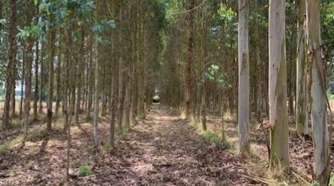 Foto 3 de Terreno en venta en Lugar Meidonin, 14a, Outeiro de Rei, Lugo