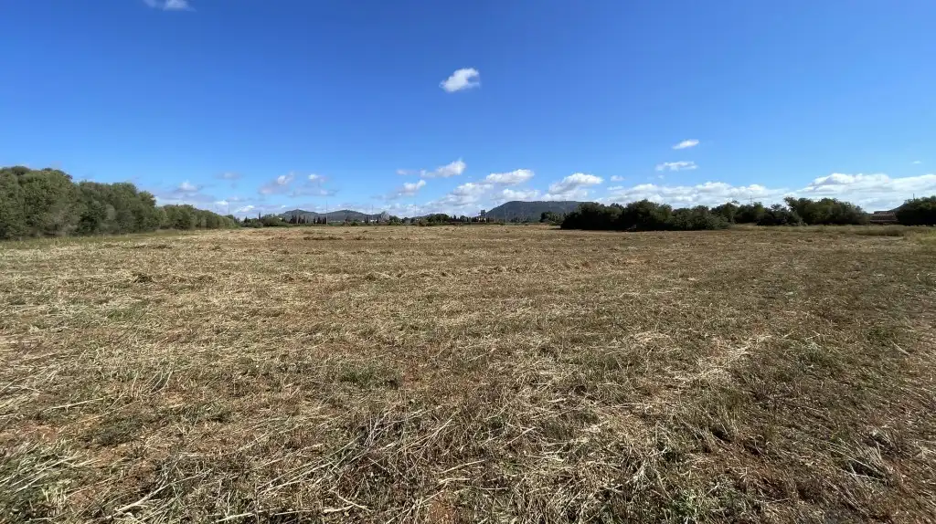 Terreno rustico in vendita a Llucmajor pueblo, imagen 3