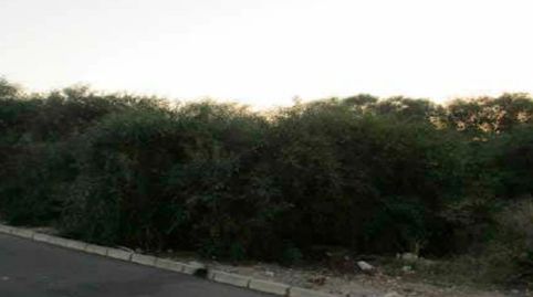 Photo 4 of Buildings for sale in San Miguel, Murcia Capital