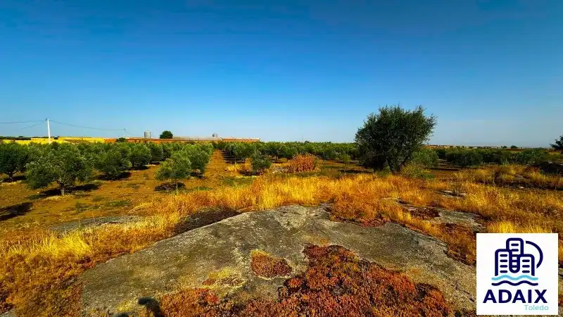Finca rústica en venda en Gálvez amb Aire condicionat