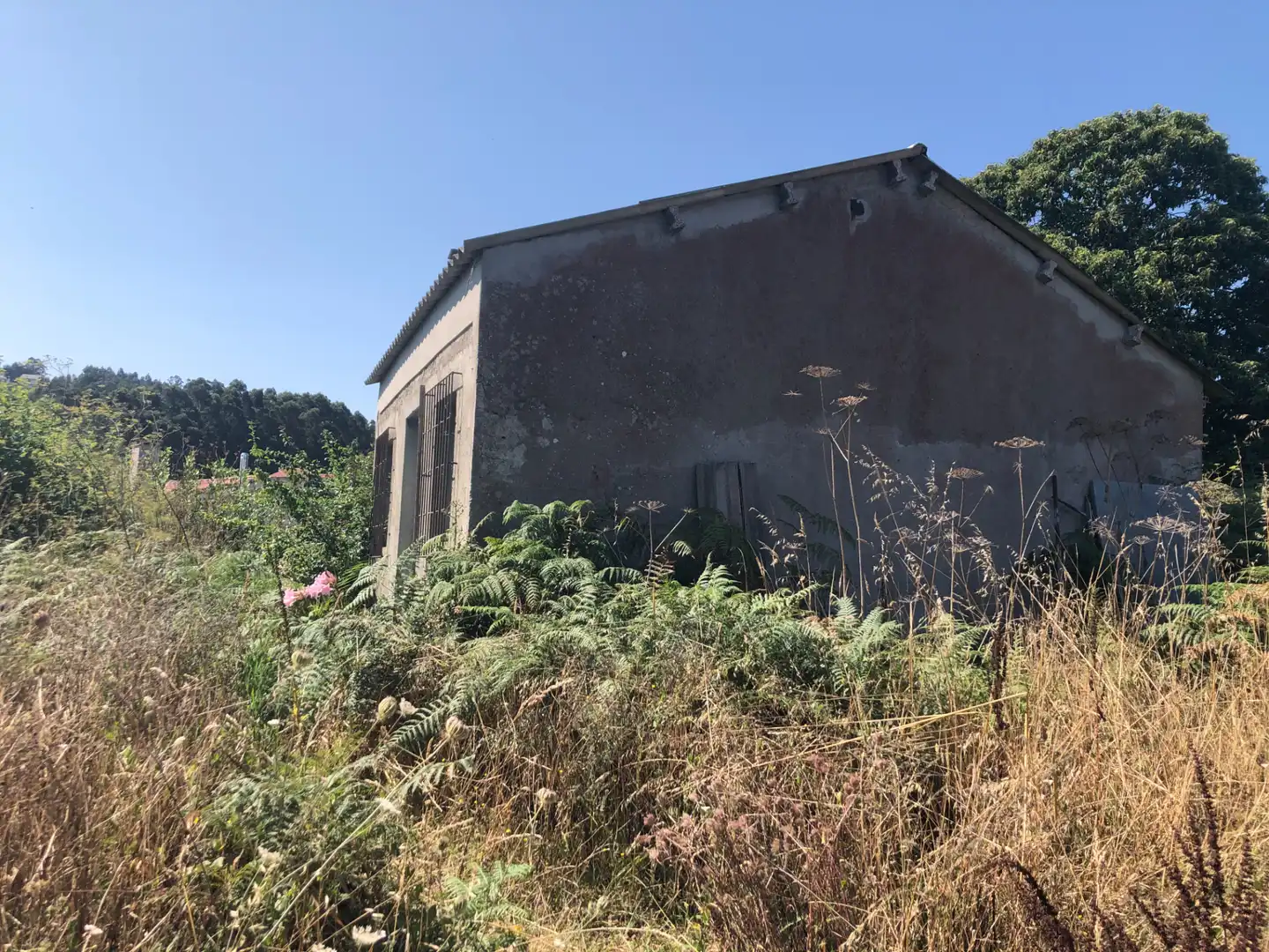 Terreni e lotti in vendita a A Zapateira, imagen 2