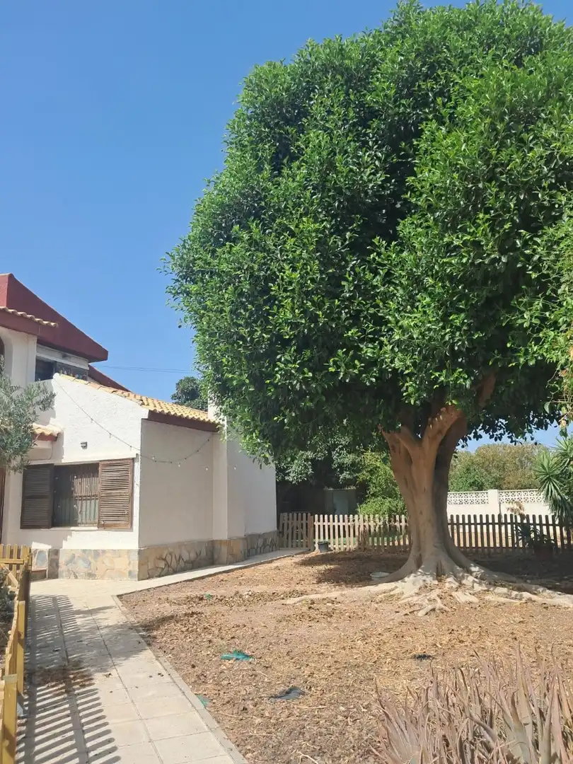 Außenansicht von Haus oder Chalet zur Miete in Mutxamel mit Klimaanlage, Terrasse und Schwimmbad