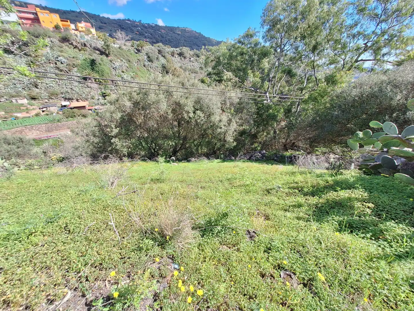 Haus oder Chalet zum Verkauf in Santa Brígida mit Privatgarten