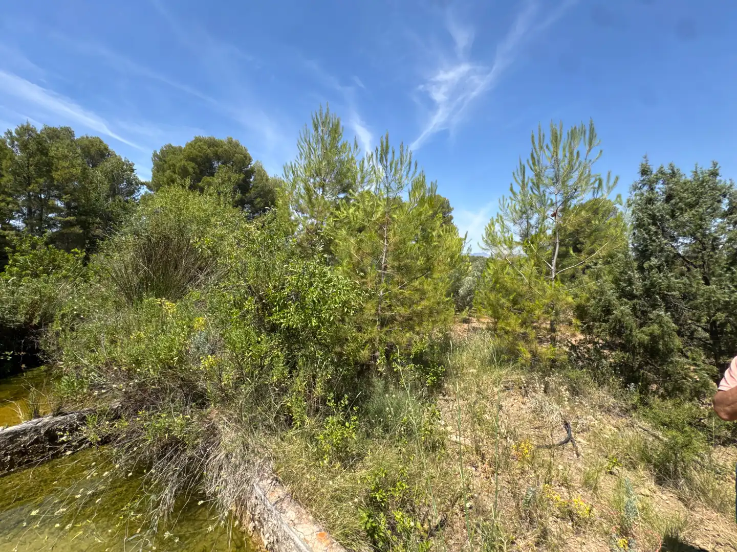 Rural land for sale in N/A, imagen 51