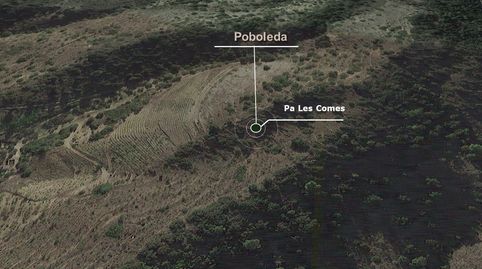 Solvia Inmobiliaria  Suelo Rústico Poboleda, immagine 4