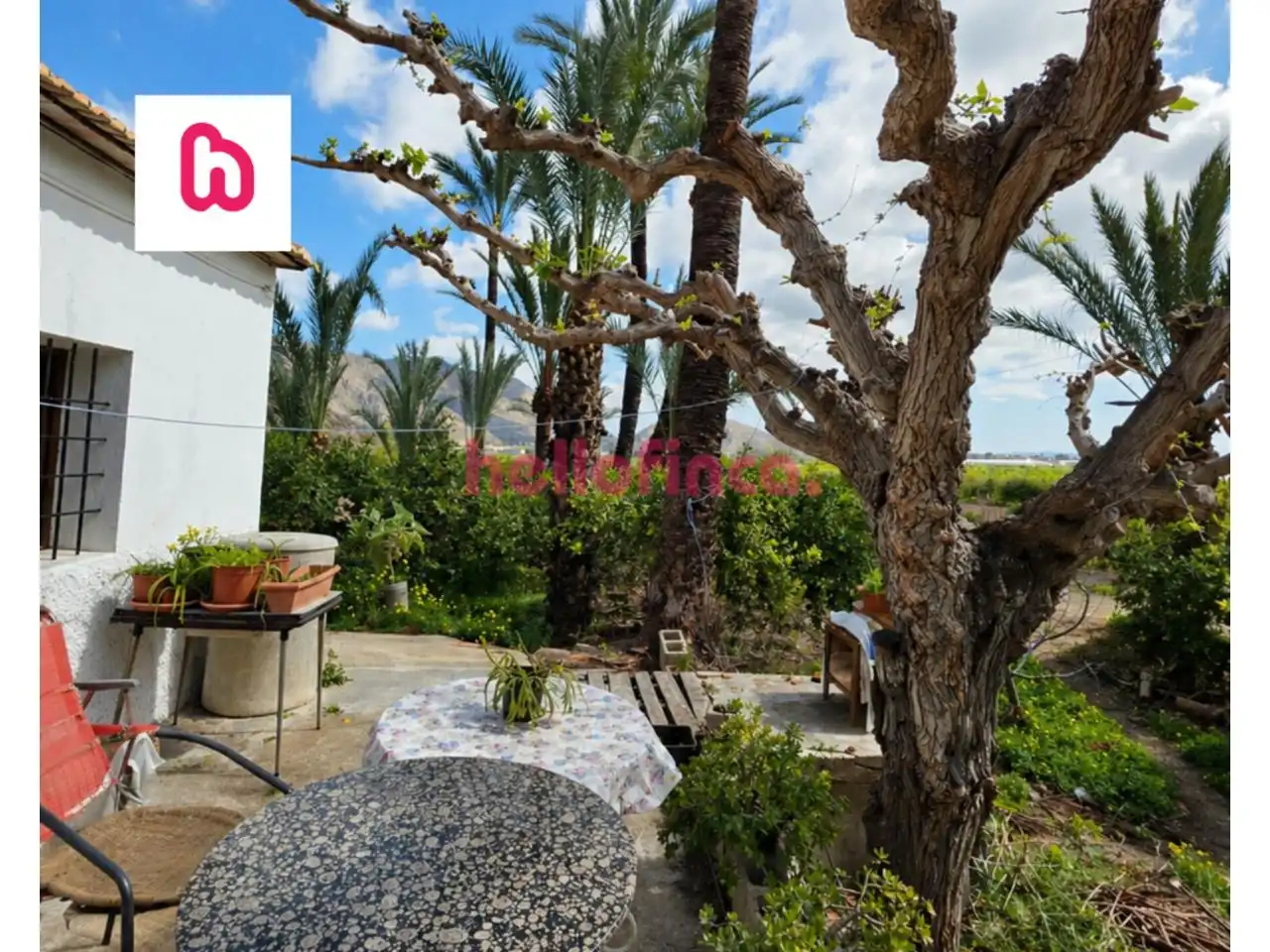 Detached house with pool for sale in Orihuela ciudad, imagen 23