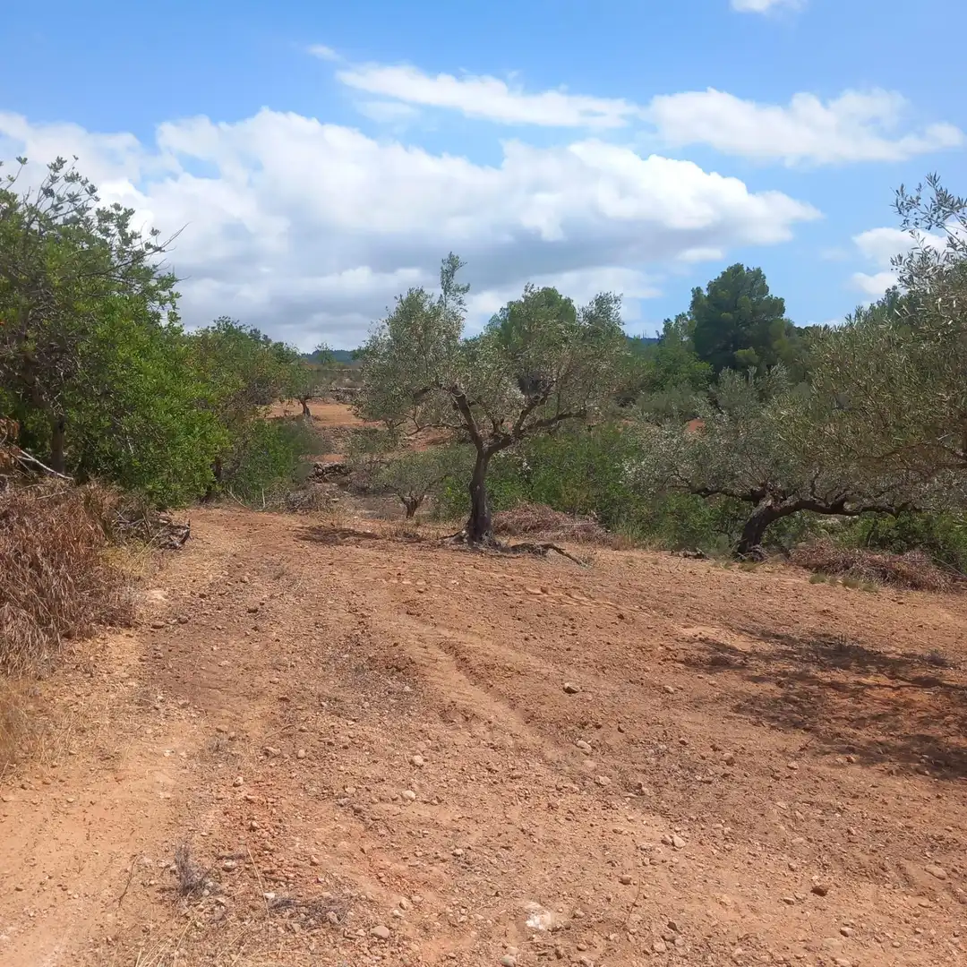 Terrain rustique à vendre à Bítem, imagen 6
