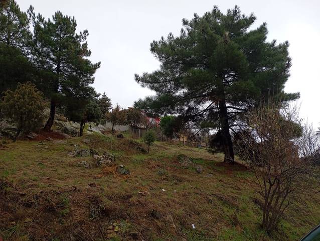 Terreno residencial en Venta en Robledo de Chavela