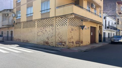 Planta baja Moraleja, imatge 2