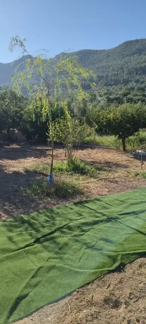 Finca rústica en venda en Mogente / Moixent amb Piscina