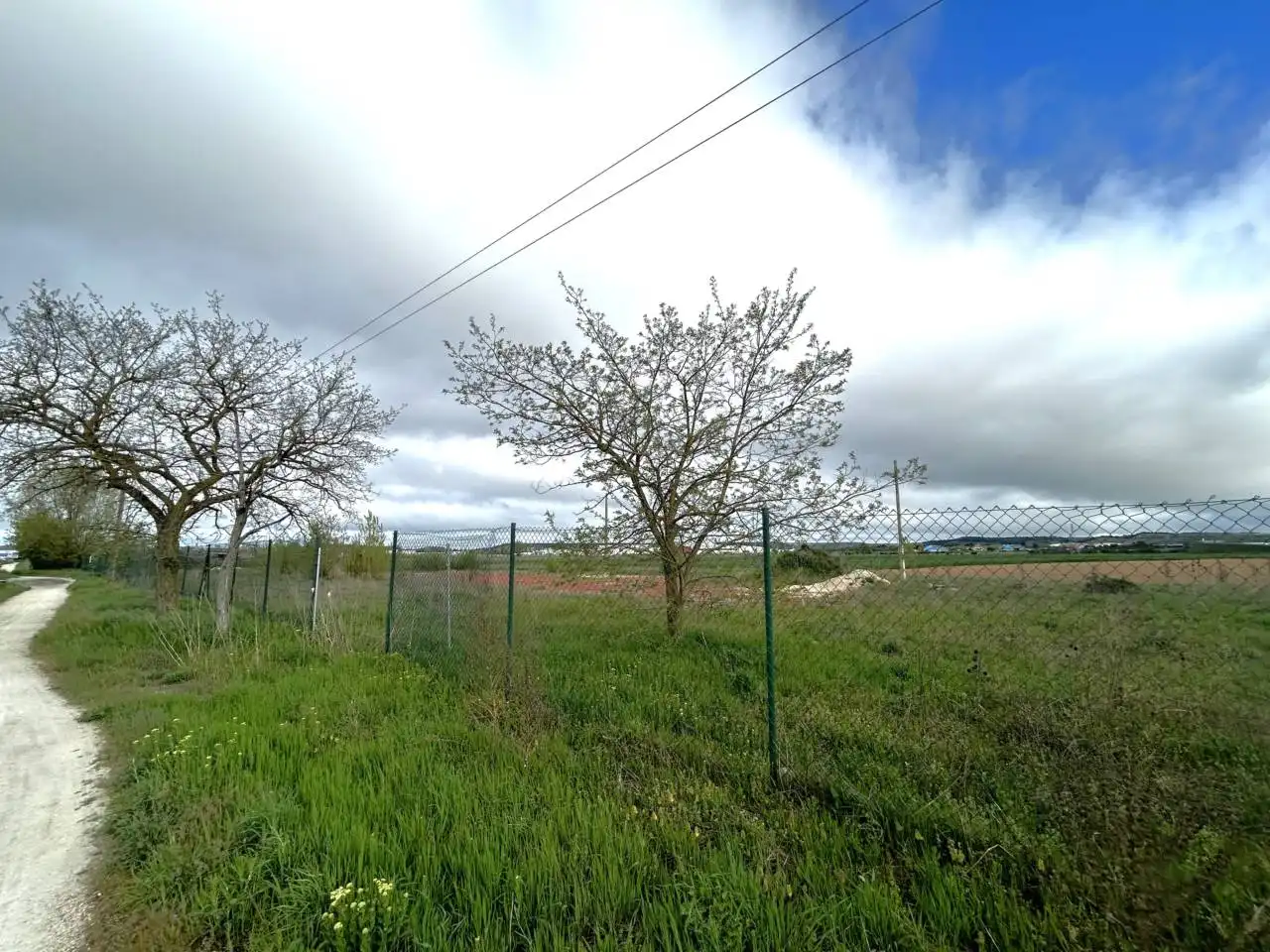 Industrial land for sale in Carretera Logroño, imagen 14