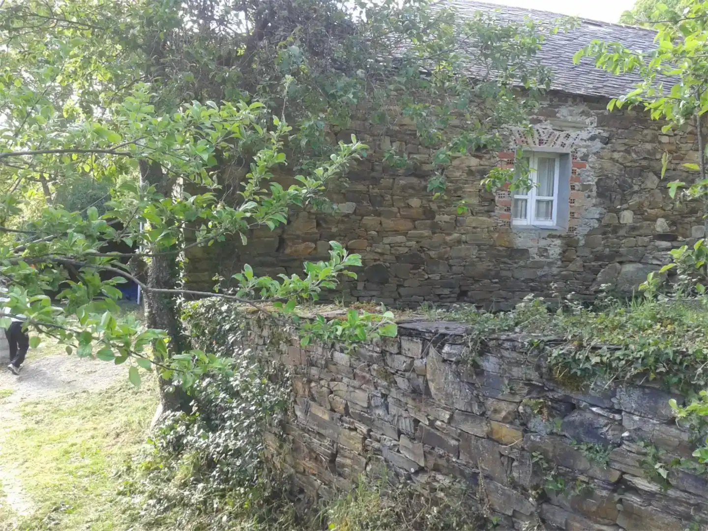 Vista exterior de Pis en venda en A Fonsagrada  amb Jardí privat