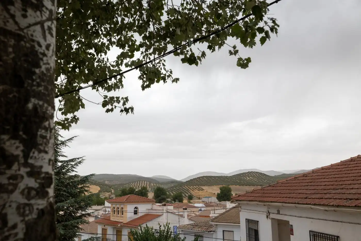 Vista exterior de Casa o xalet en venda en Campotéjar amb Traster