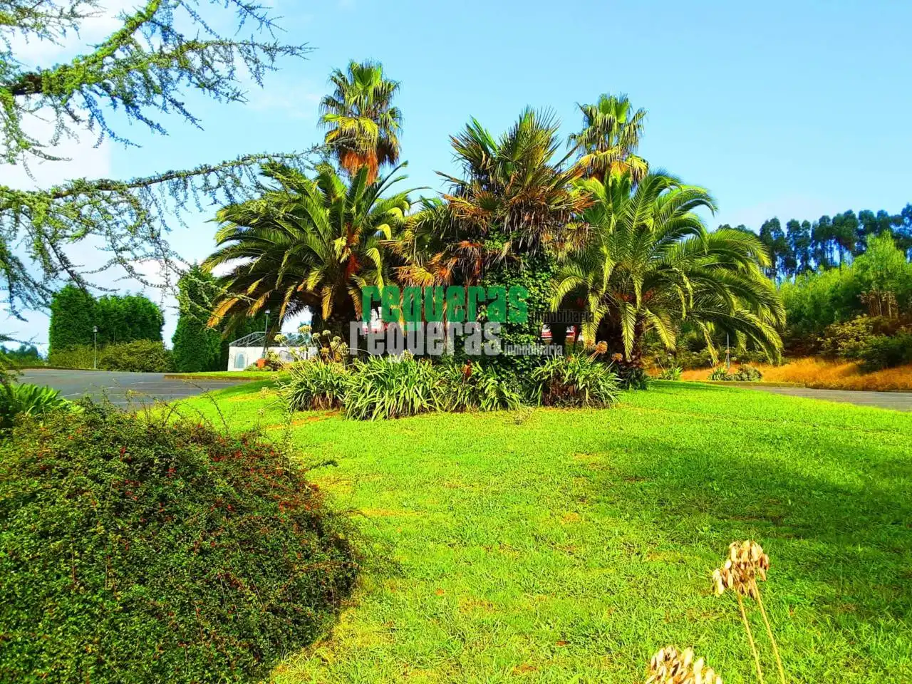 Business premises to rent in Mofeo, imagen 9